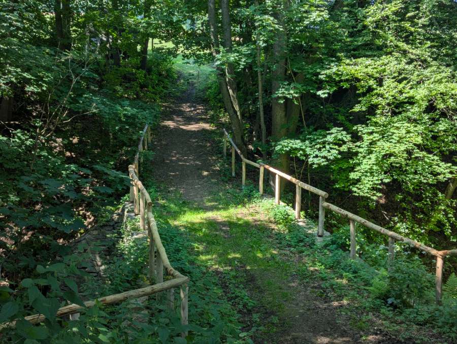 Wanderweg über eine Holzbrücke mit Geländer im Laubwald