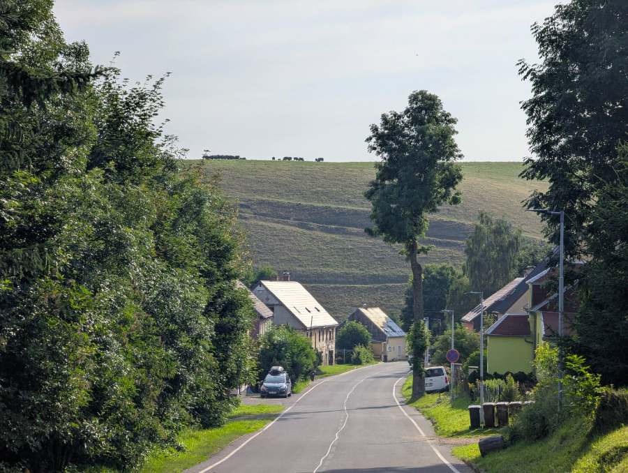 Dorfstraße mit Häusern, dahinter eine Weidekuppe mit Rindern