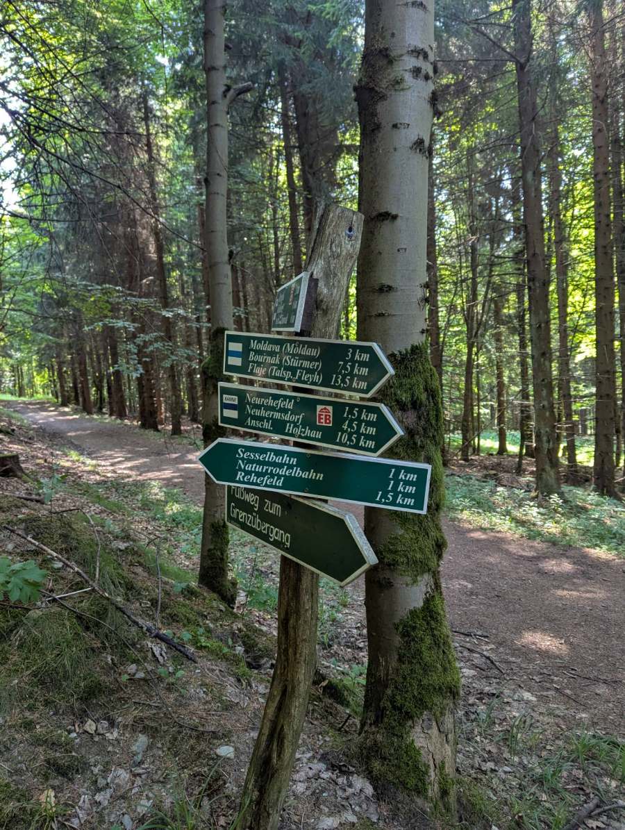 Wegweiser im Fichtenwald mit Zielen Moldava 3 km und Holzhau 10,5 km